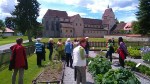 Insel Reichenau 2017_13