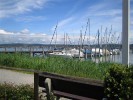 Insel Reichenau 2017_17