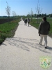 24.03.2008 LGS 062 (Custom).jpg