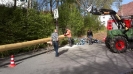 26042012831 (Custom)